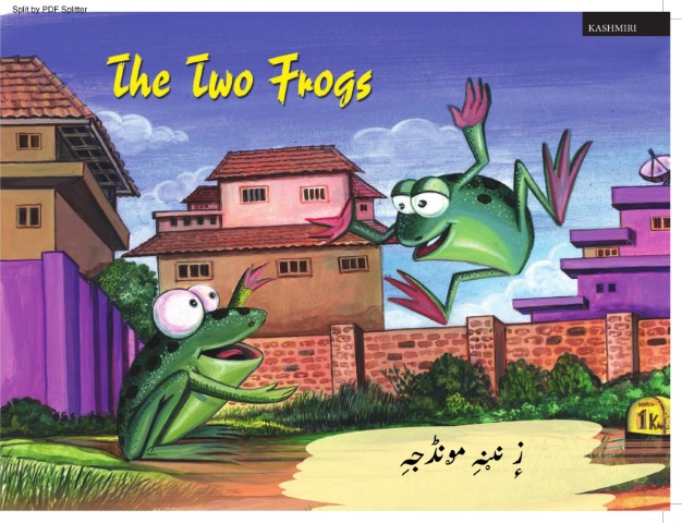 The Two Frogs